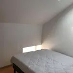 L'echoppe Rochelaise Nyaraló *